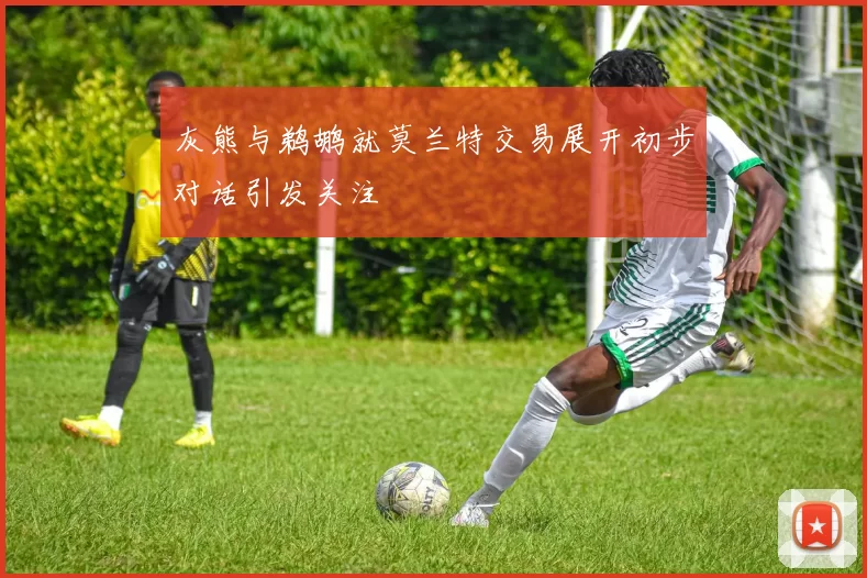 灰熊与鹈鹕就莫兰特交易展开初步对话引发关注