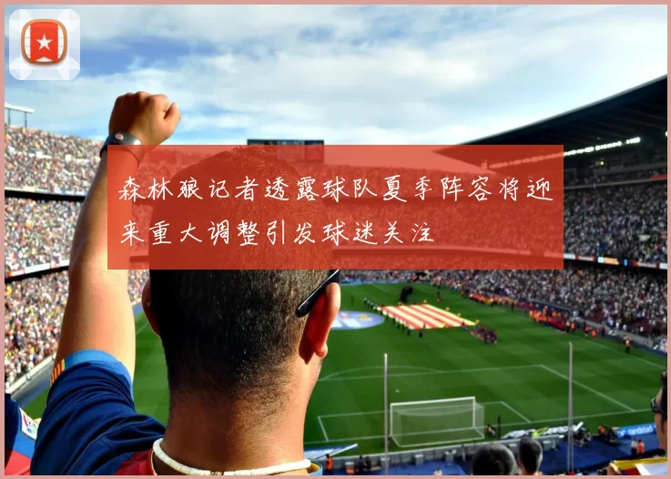 森林狼记者透露球队夏季阵容将迎来重大调整引发球迷关注