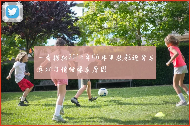 一哥揭秘2016年G6库里被驱逐背后真相与情绪爆发原因